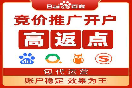 SEM主管实战：案例分析与优化策略